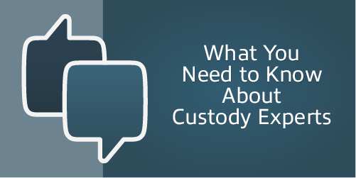 What You Need to Know About Custody Experts – Men’s Divorce Podcast