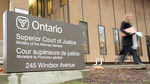 Windsor court ruling puts COVID-19 'hoax' belief at centre of custody fight