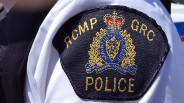 Amber Alert for 2 kids missing from Fort St. John ends safely, father in custody, say police