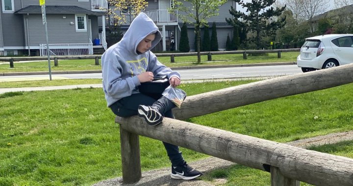 ‘He deserves better’: B.C. parents say more support needed for son with autism - BC