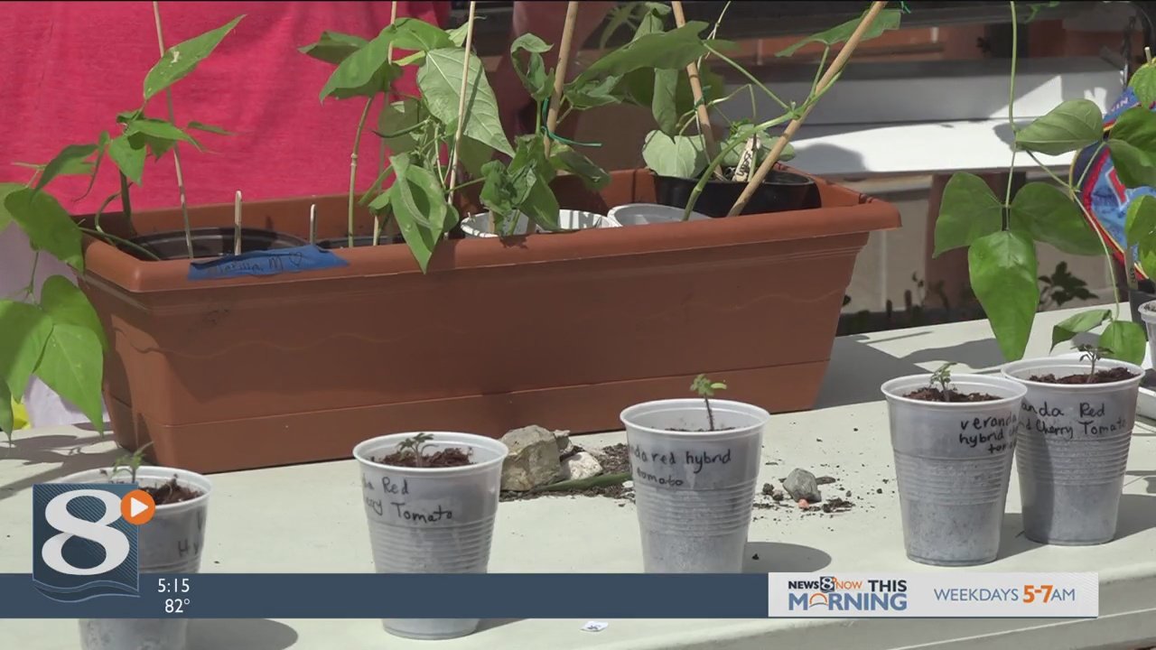GROW Spring Plant Sale in La Crosse to help support child garden education
