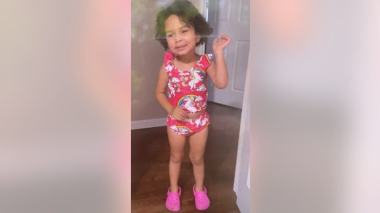 Missing 3-year-old's mother took child from father's custody, police say